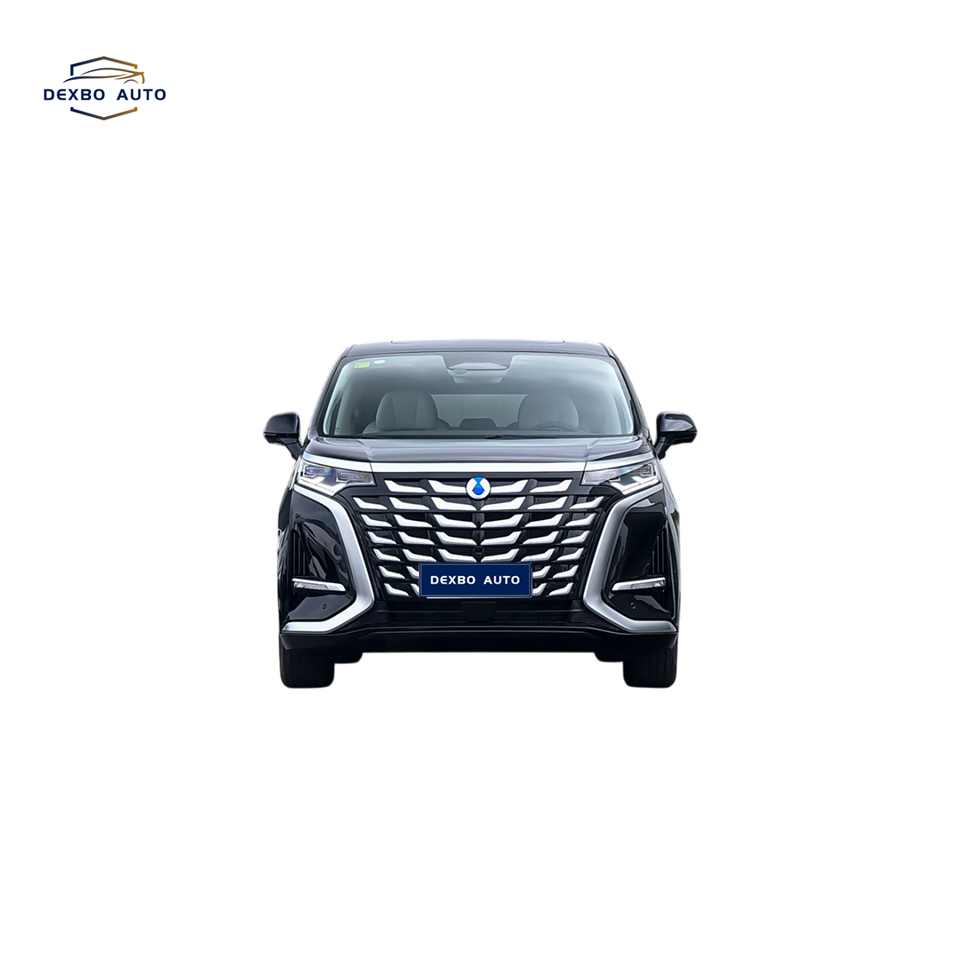 2025 Denza D9